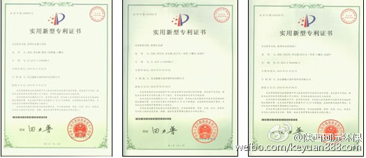 葦床柳樹污水凈化處理